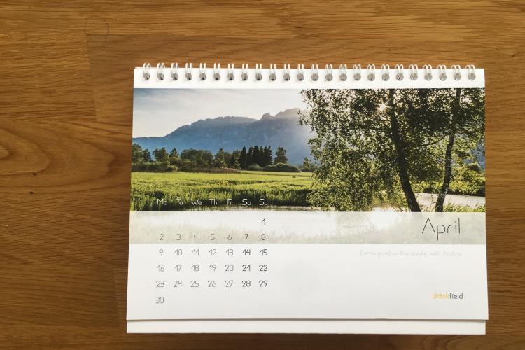 Thinkfield Calendar.